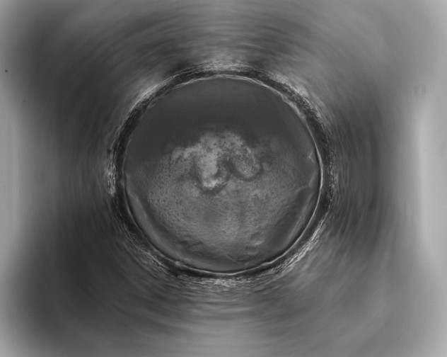 X0000094081306200711021506