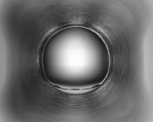 X0000094081307200711021506