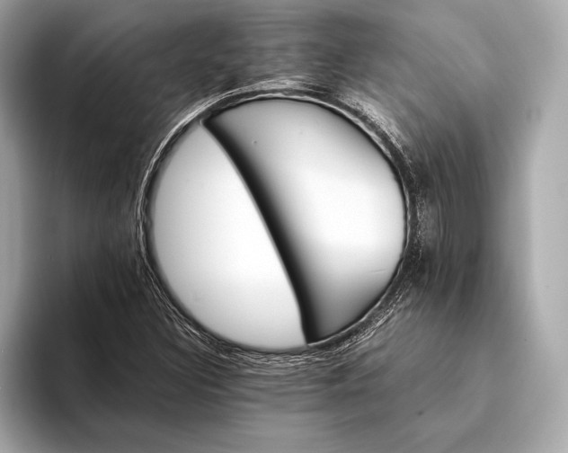 X0000094081308200711021506