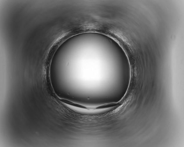 X0000094081309200711021506