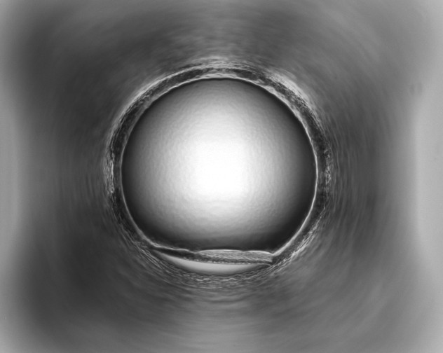 X0000094081310200711021506