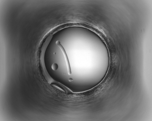 X0000094081311200711021506