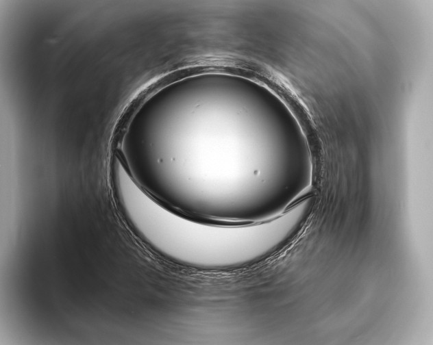 X0000094081312200711021506