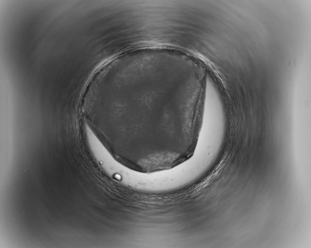 X0000094081314200711021506