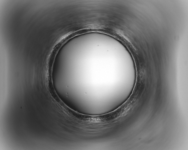 X0000094081315200711021506