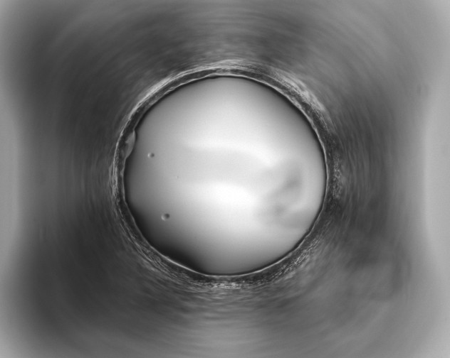 X0000094081316200711021506