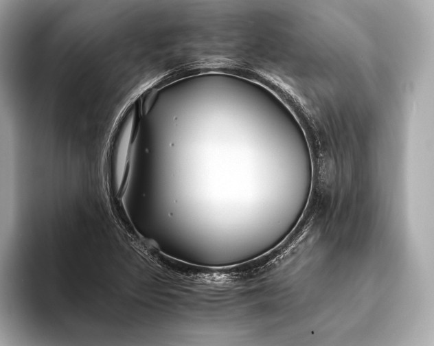 X0000094081317200711021506