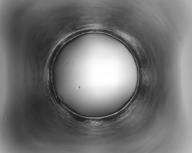 X0000094081318200711021506