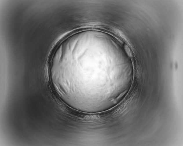 X0000094081320200711021506