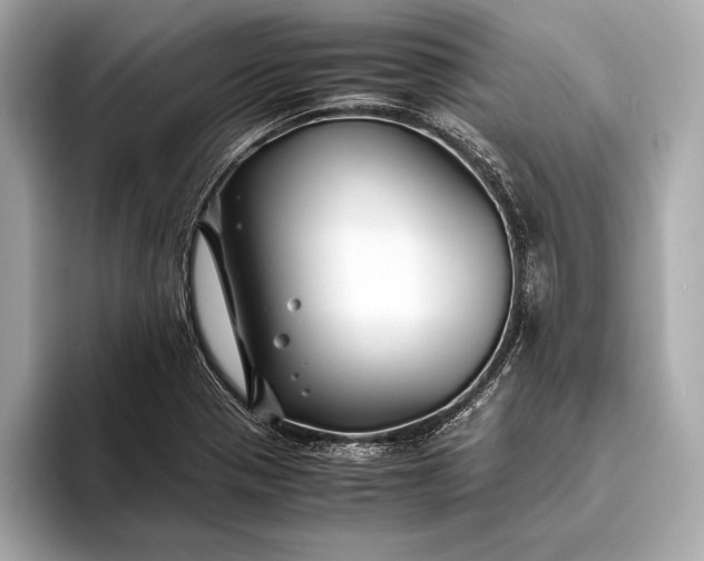 X0000094081321200711021506