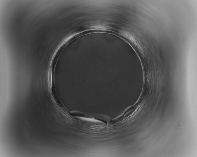 X0000094081323200711021506