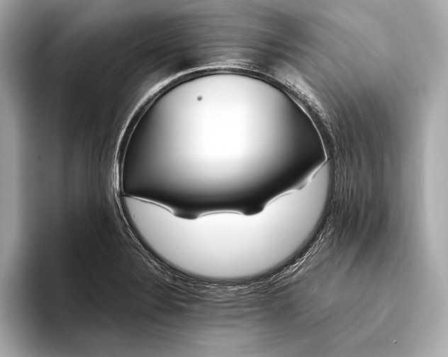 X0000094081324200711021506