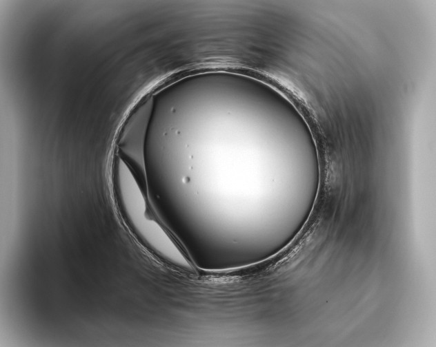 X0000094081325200711021506