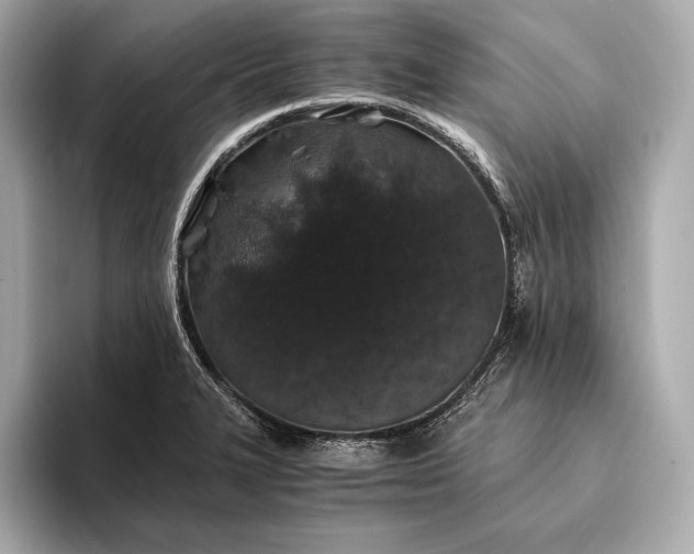 X0000094081327200711021506