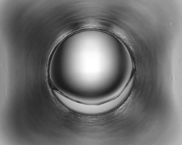 X0000094081330200711021506