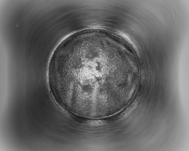 X0000094081331200711021506