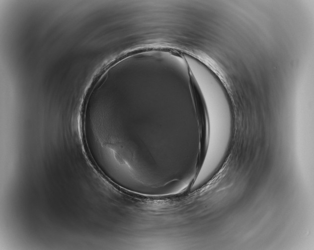 X0000094081334200711021506