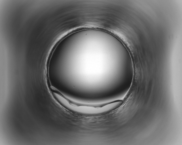 X0000094081335200711021506