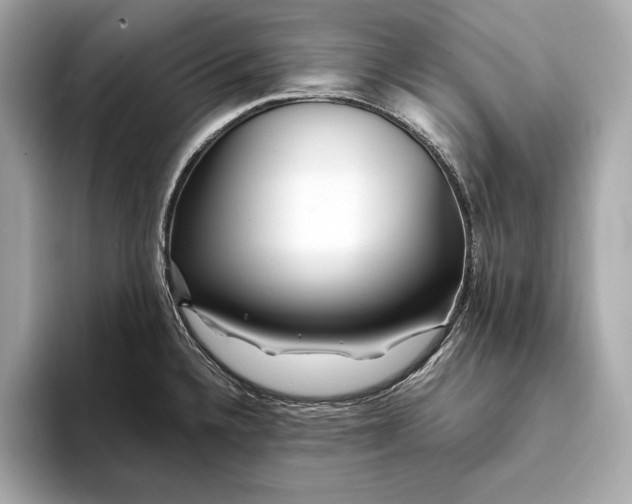 X0000094081336200711021506