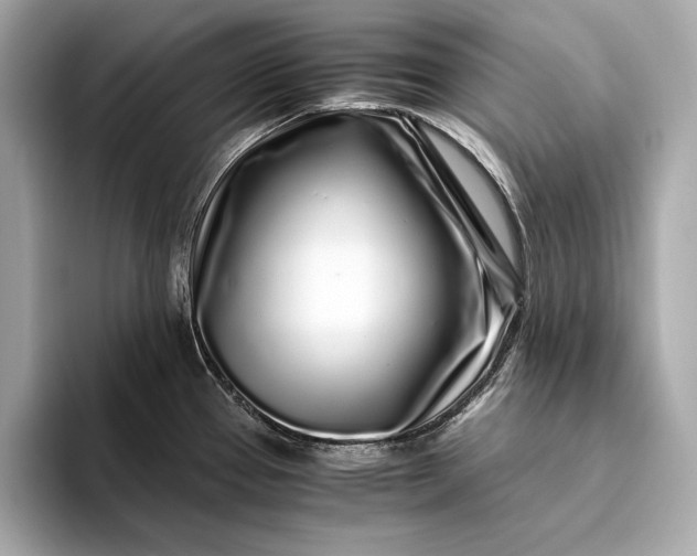 X0000094081337200711021506