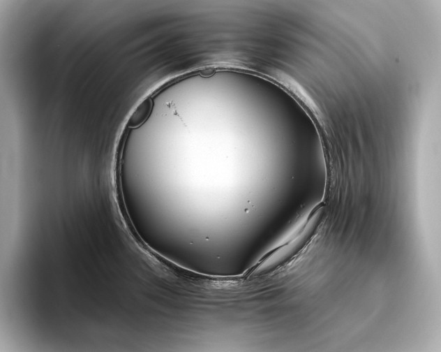 X0000094081339200711021506