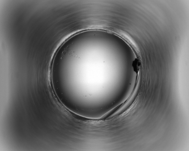 X0000094081340200711021506