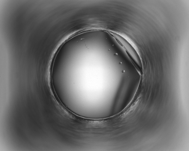 X0000094081341200711021506