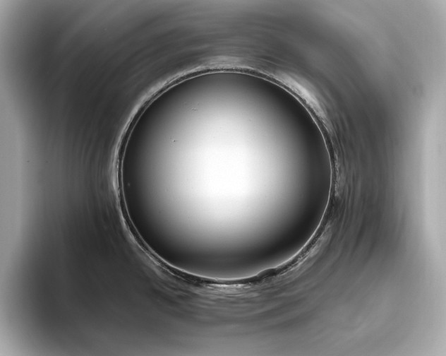 X0000094081342200711021506