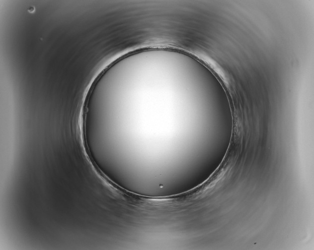 X0000094081343200711021506