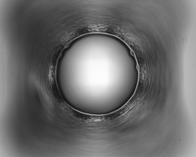 X0000094081346200711021506