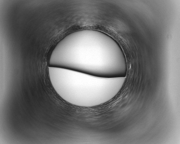 X0000094081348200711021506