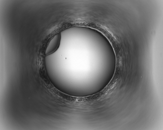 X0000094081350200711021506