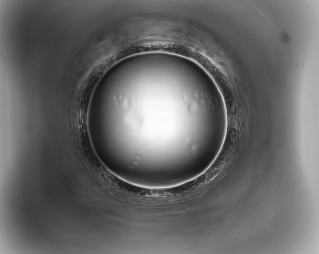 X0000094081351200711021506