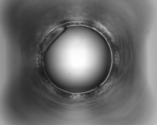 X0000094081352200711021506