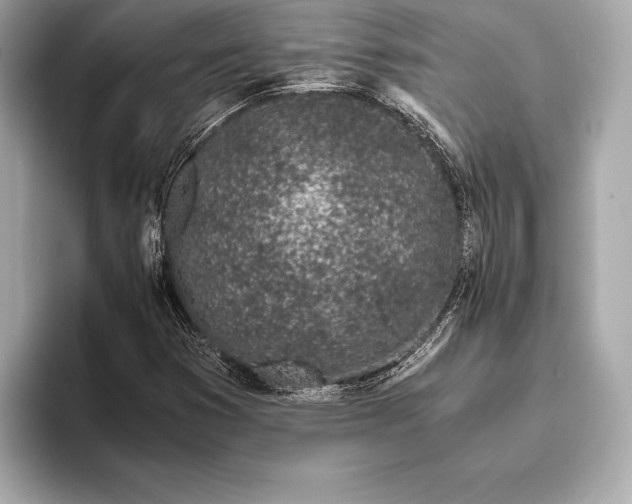 X0000094081353200711021506