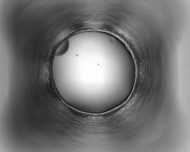 X0000094081354200711021506