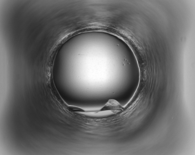 X0000094081355200711021506