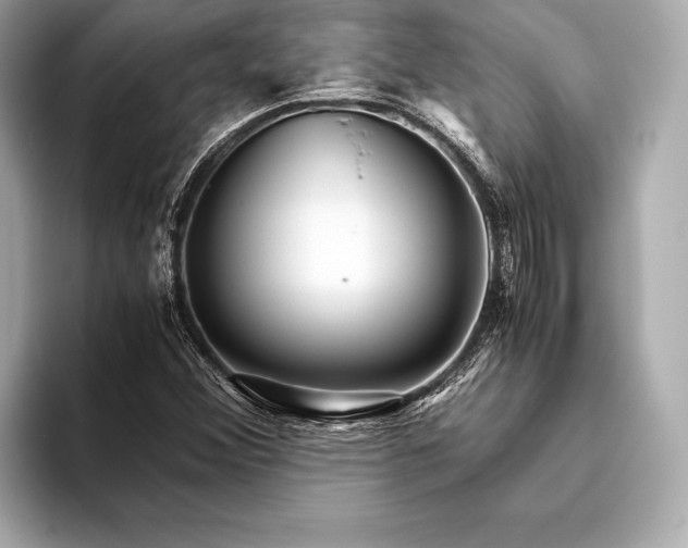 X0000094081356200711021506