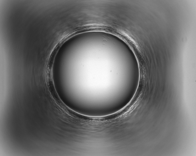 X0000094081357200711021506