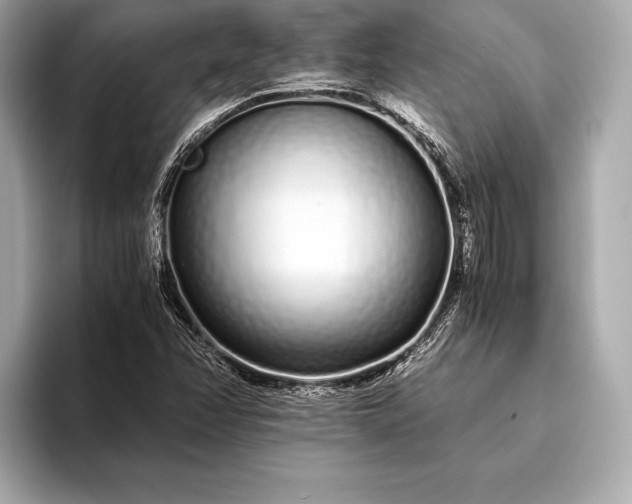 X0000094081358200711021506