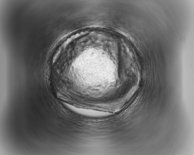 X0000094081359200711021506