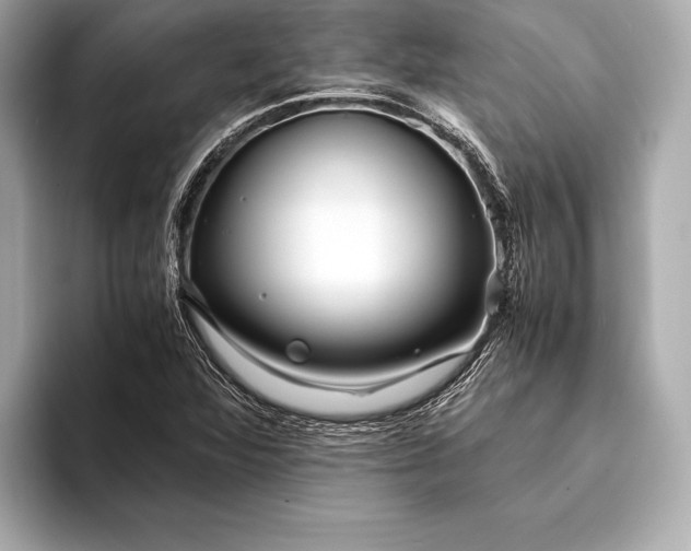 X0000094081360200711021506