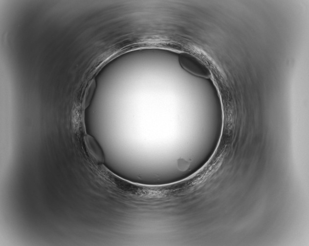 X0000094081361200711021506