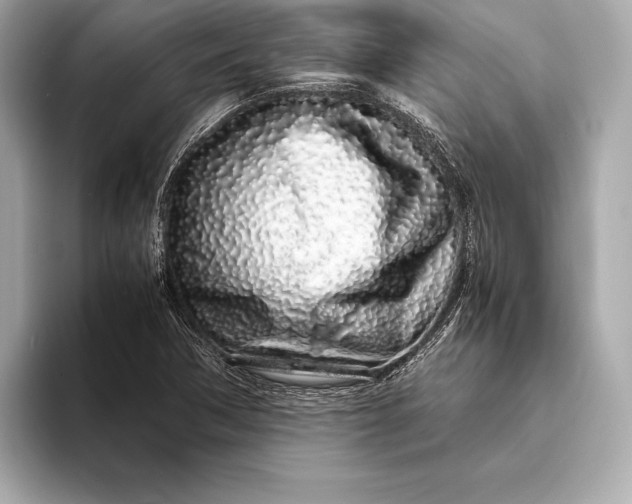 X0000094081362200711021506