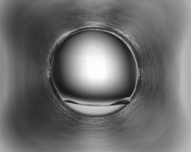 X0000094081363200711021506