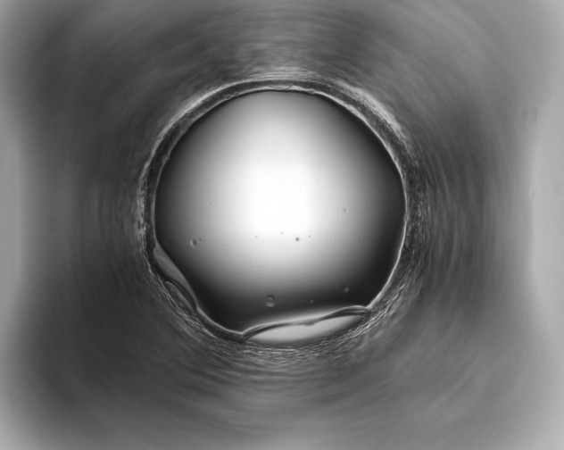 X0000094081364200711021505