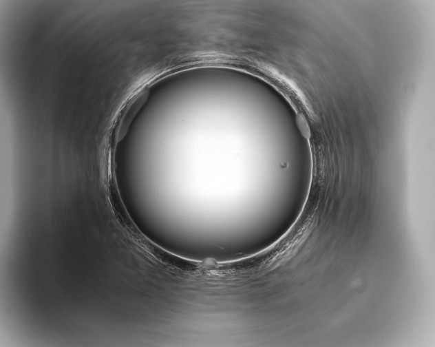 X0000094081365200711021505