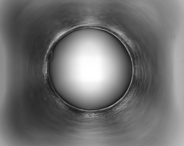 X0000094081366200711021505