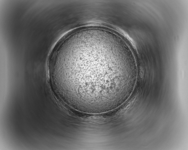 X0000094081368200711021505