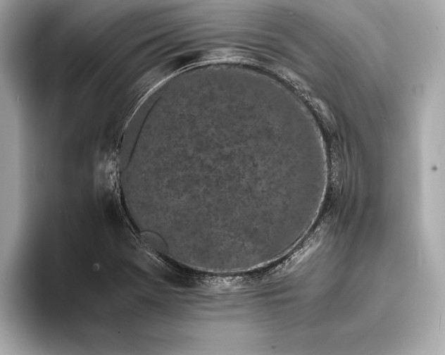 X0000094081369200711021505